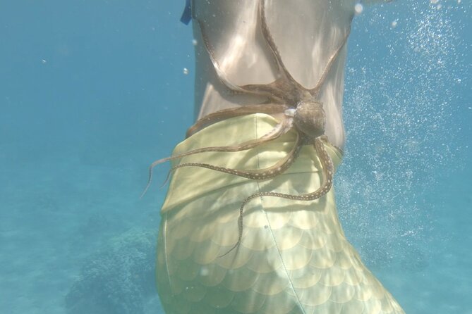 Lanai Snorkeling Half Day with Sea Scooter - Seasickness and physical demands
