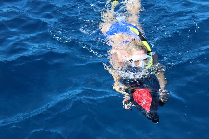 Lanai Snorkeling Half Day with Sea Scooter - Two 45-minute stops, chosen by the captain