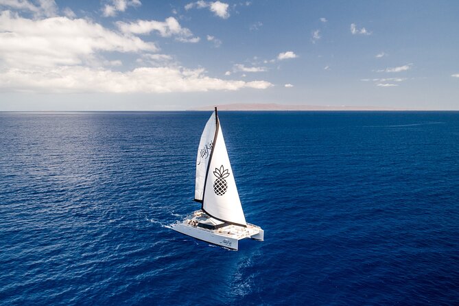 Luxury Catamaran Royal Sunset Dinner Sail (Adults-Only) - Key points to know before you book