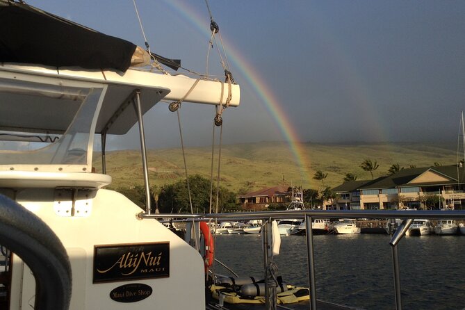 Luxury Catamaran Whale Watch - What the Crew Adds to the Trip