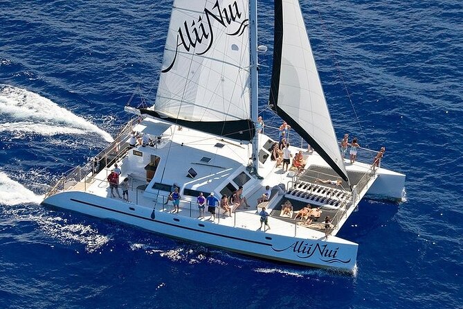 Luxury Catamaran Whale Watch - Catamaran Comfort, Food, and Drinks