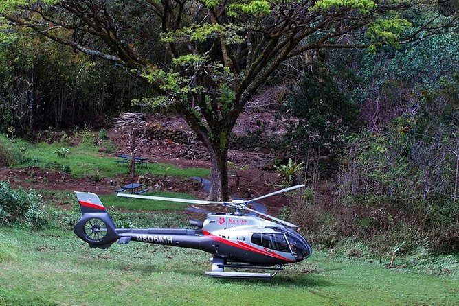 Luxury Helicopter Experience with Hana Rainforest Landing - Is $341.11 a fair price?