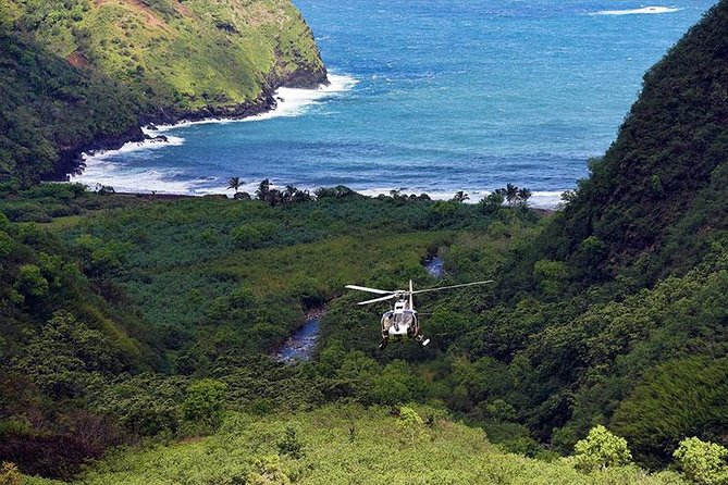 Luxury Helicopter Experience with Hana Rainforest Landing - Who will enjoy it most