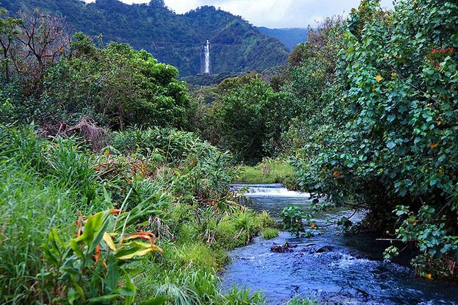 Luxury Helicopter Experience with Hana Rainforest Landing - Starting at Kahului Airport
