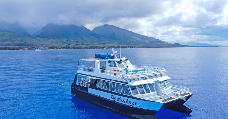 Ma'alaea Harbor: Whale Watching Tour Aboard Power Catamaran - Quick takeaways