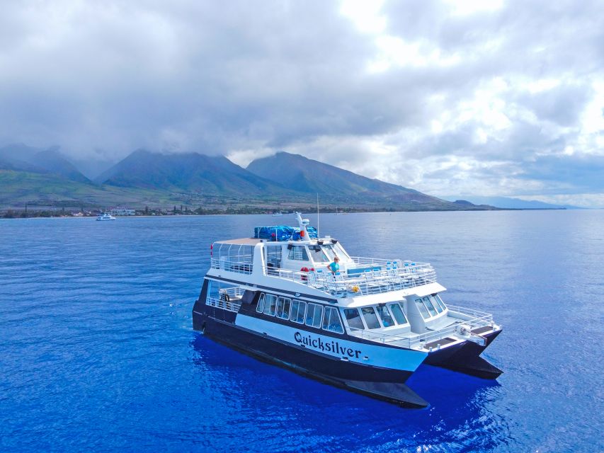 Ma'alaea Harbor: Whale Watching Tour Aboard Power Catamaran - Why Ma’alaea Harbor is a smart place to watch whales