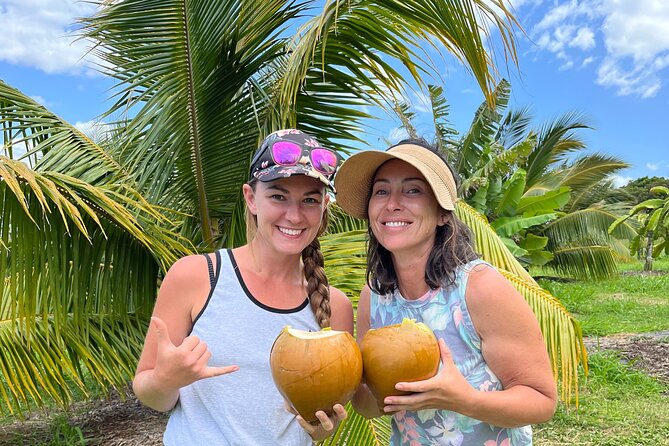 Macnut Tour, Picnic lunch and Maui Bees - Key points to know before booking
