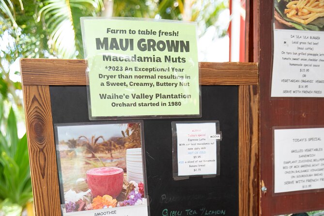 Macnut Tour, Picnic lunch and Maui Bees - The hydroponic greenhouse adds a useful second view
