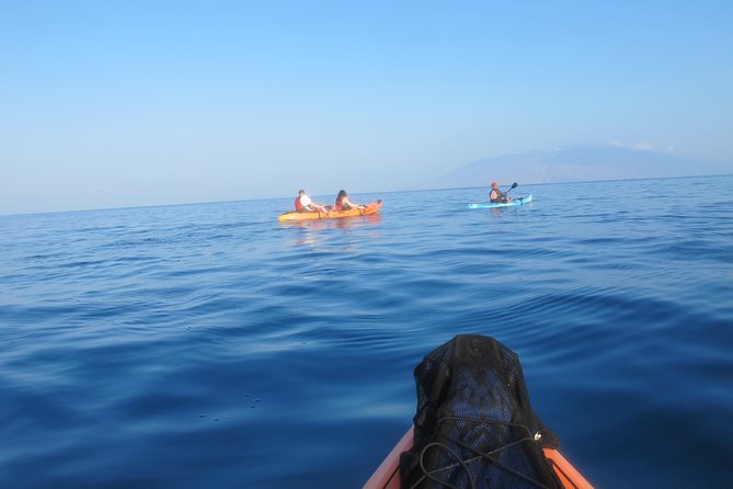Makena Turtle Town Eco Adventure in Maui - What the wildlife experience is really like