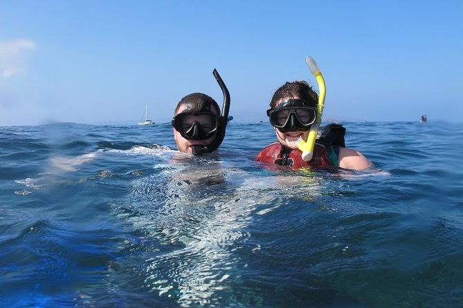 Makena Turtle Town Eco Adventure in Maui - Families, first-timers, and nervous snorkelers