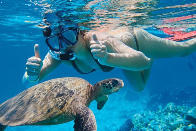Makena-Wailea Explorer Trip in Maui - Paddling toward Turtle Town