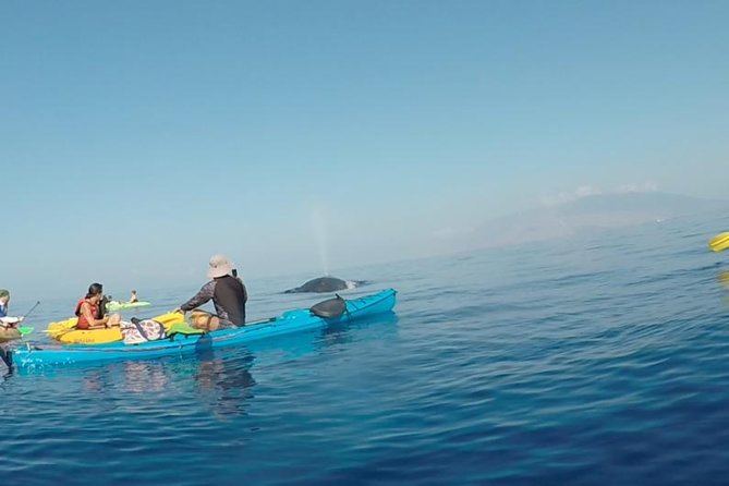 Makena Whale Watching and Snorkel - Starting at 6:45am in Makena