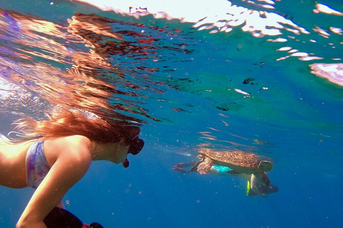 Mala Wharf Lahaina Jet Scooter Snorkeling Small Group with GoPro - Why Mala Wharf makes a good snorkeling target