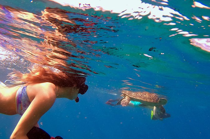 Mala Wharf Lahaina Jet Scooter Snorkeling Small Group with GoPro - Is $149 a fair price?