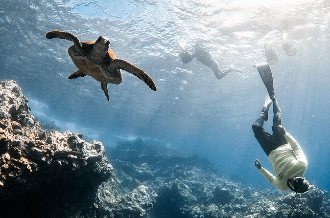 Mala Wharf Lahaina Jet Scooter Snorkeling Small Group with GoPro - Who should book this Mala Wharf tour?