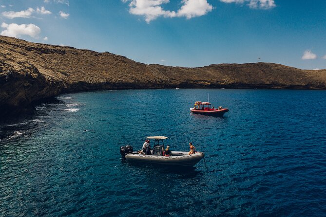 Maui: 2-Hour Molokini Snorkel Trip - Is $143.93 a Fair Price?