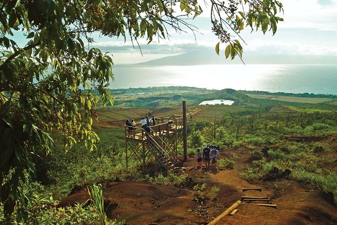 Maui 8 line Zipline Adventure: Soar above valleys & Island views - Key points to know before booking