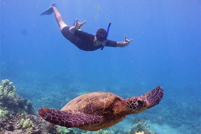 Maui Afternoon Snorkel Aboard Malolo to Molokini or Coral Gardens - Why the backup site matters more than the brochure photo