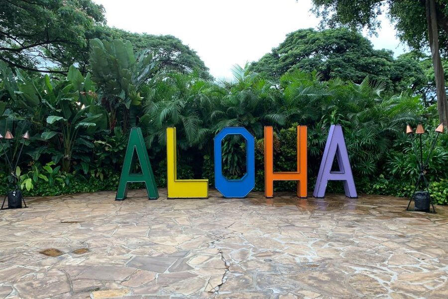 Maui Airport Custom Lei Greeting - Choose Your Lei - Key points before you book