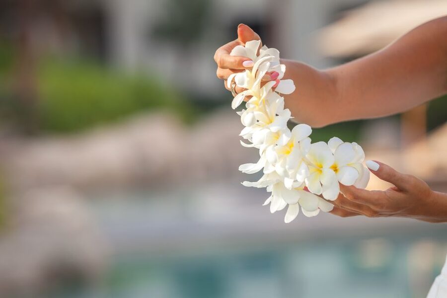 Maui Airport Custom Lei Greeting - Choose Your Lei - Is the Maui lei greeting worth booking?