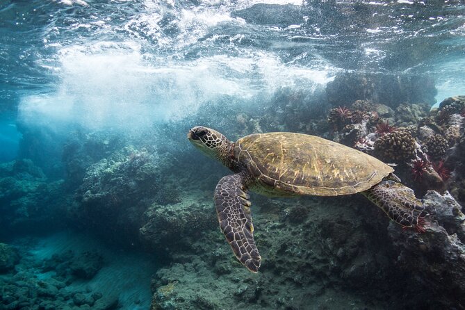 Maui Beach Parks Self-Guided Driving Tour - Palauea, Maluaka, and Makena