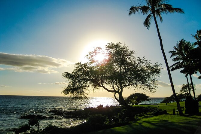 Maui Beach Parks Self-Guided Driving Tour - The lava fields are the surprising finale