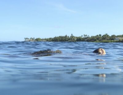 Beginner Level Private Stand-Up Paddleboard Lesson