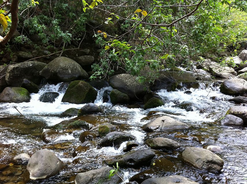 Maui: Best of Maui/Haleakala - Sips, Sites & Bites - Pickup planning across Maui