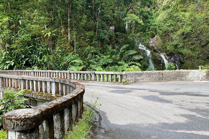Maui by Storm: Epic Private Luxury Road to Hana Adventure Tour - Wailua Falls and Pua’a Ka’a State Park