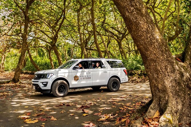 Maui by Storm: Epic Private Luxury Road to Hana Adventure Tour - Ke’anae Point and the return toward Ho’okipa