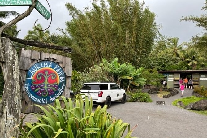 Maui by Storm: Epic Private Luxury Road to Hana Adventure Tour - How the guides shape the experience