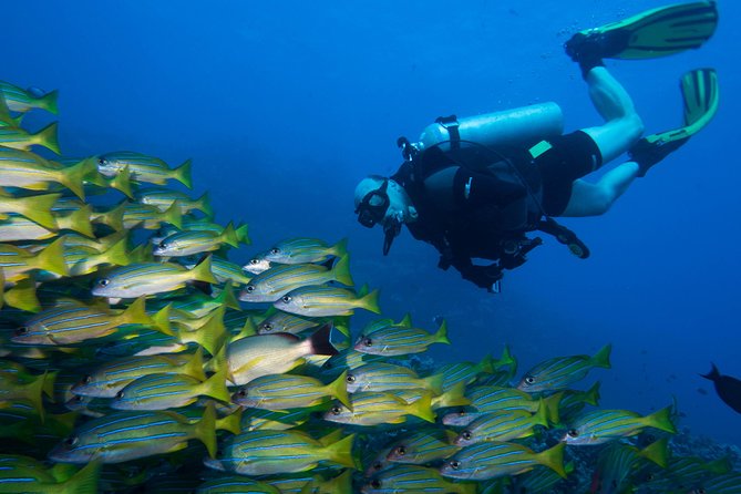 Maui Certified Shore Diving from Lahaina - Entering the water from a changing Maui beach