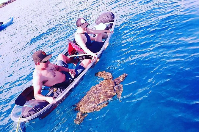 Maui Clear Kayak and Snorkel Tour: Swim with turtles (Makena) - Winter whales and views above the water