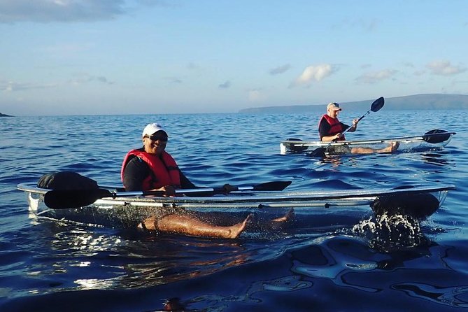 Maui Clear Kayak and Snorkel Tour: Swim with turtles (Makena) - Price, group size, and overall value
