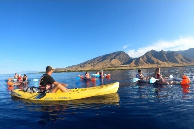 Maui Clear Kayak and Snorkel Tour: Swim with turtles (Olowalu) - Why Olowalu works well for a morning on the water