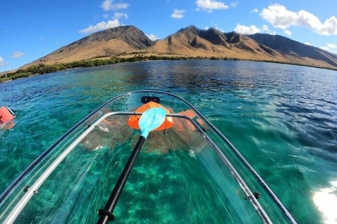 Maui Clear Kayak and Snorkel Tour: Swim with turtles (Olowalu) - What the $130 price really covers