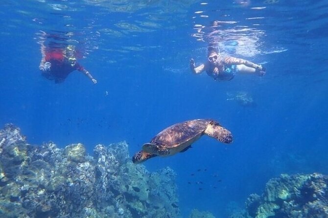 Maui Clear Kayak and Snorkel Tour: Swim with turtles (Olowalu) - Who will enjoy this tour most