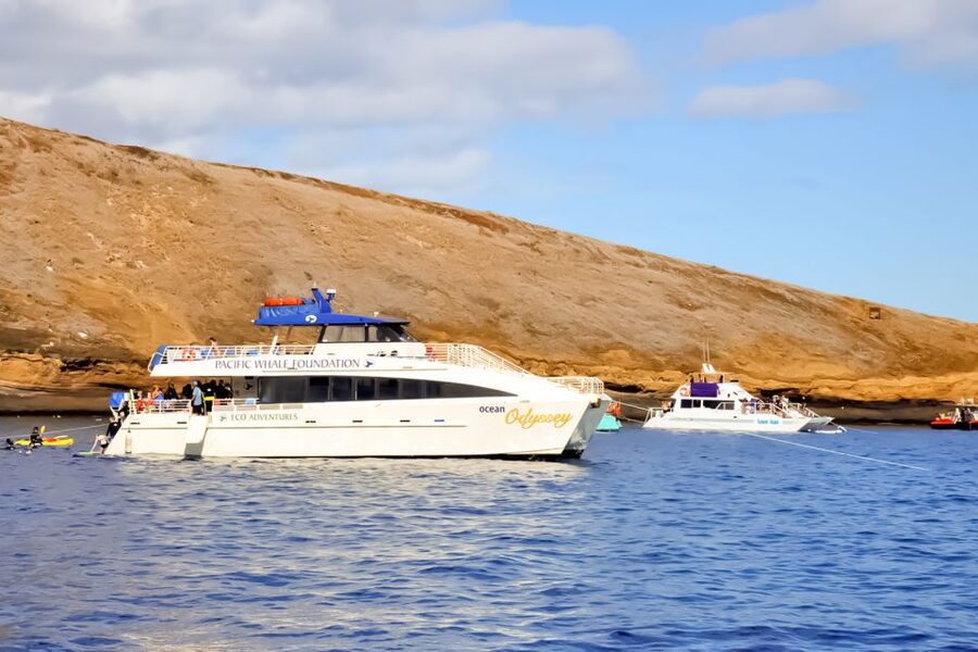 Maui: Eco-Friendly Molokini & Turtle Town Tour with Meals - Is it good for beginners and families?