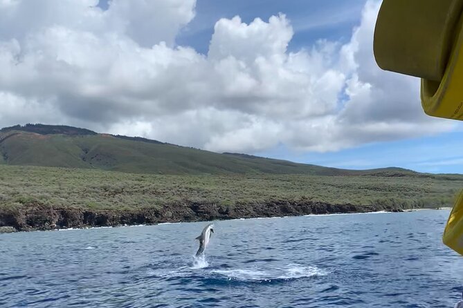 Maui Eco-Raft: 2 Hour Dolphin Watch Sightsee Tour (Semi-Private) - Who should skip it, and who will enjoy it