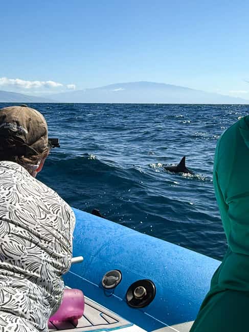Maui: Eco-Raft Dolphin Watch Tour with Snacks - Key points to know before booking