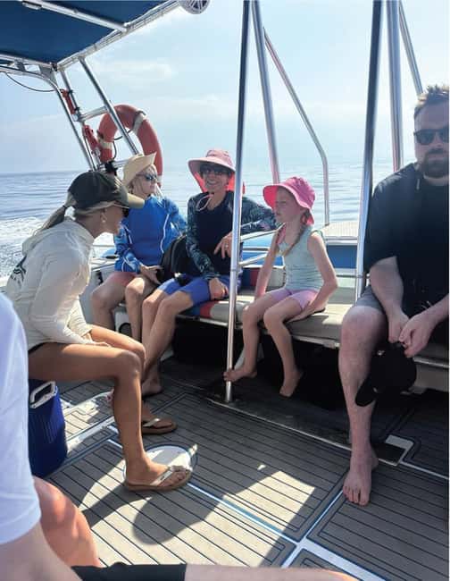 Maui: Eco-Raft Dolphin Watch Tour with Snacks - A two-hour search for dolphins off West Maui