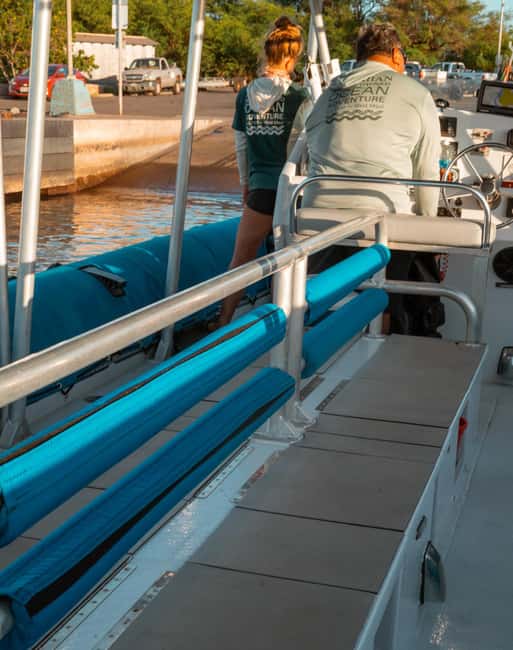 Maui: Eco-Raft Dolphin Watch Tour with Snacks - Is $96 a fair price?