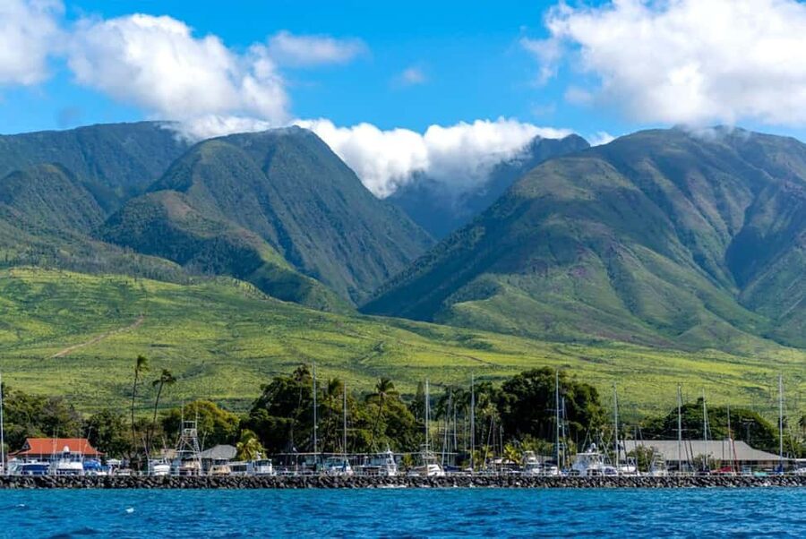 Maui: Eco-Raft Dolphin Watch Tour with Snacks - Who will enjoy this most?
