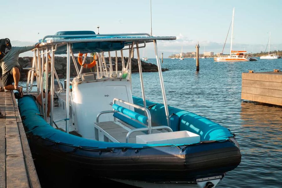 Maui: Eco-Raft Dolphin Watch Tour with Snacks - Should you book the Maui eco-raft dolphin watch?