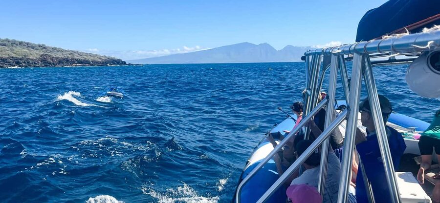 Maui: Eco-Raft Dolphin Watch Tour with Snacks - Why the eco-raft format changes the experience