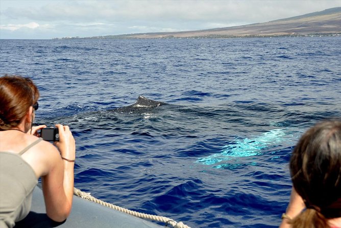 Maui Eco-Raft Tour: Eye-Level Whale or Dolphin Watching - Lahaina - Sun, spray, and the gear you should bring