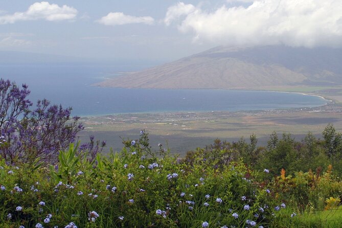 Maui Farm Distillery and local craft experience Full-Day Tour - Surfing Goat Dairy: A Playful Start With Local Flavor