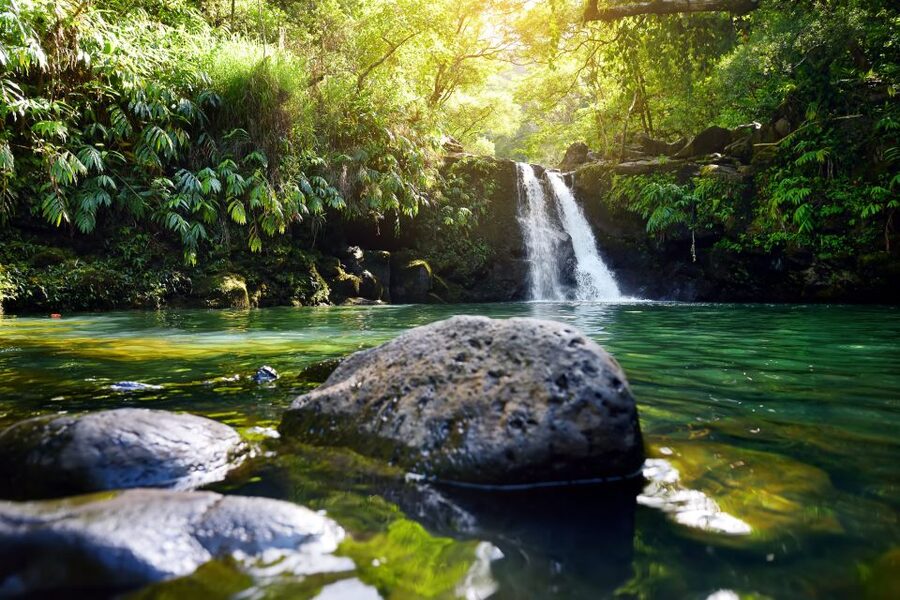 Maui: Guided Rainforest and Waterfall Walk & Swim - A Waterfall Walk With More Than a Pretty Photo