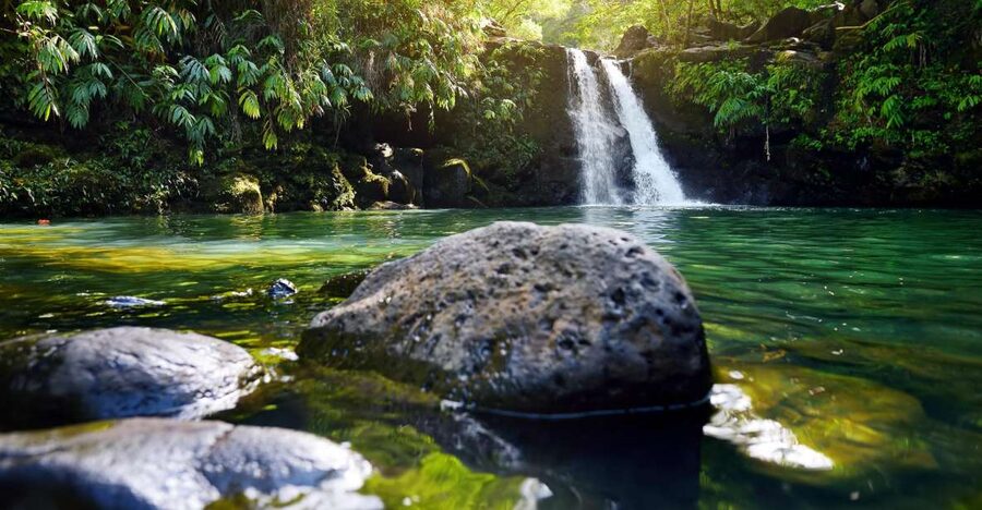 Maui: Guided Rainforest and Waterfall Walk & Swim - Reaching the First Waterfall