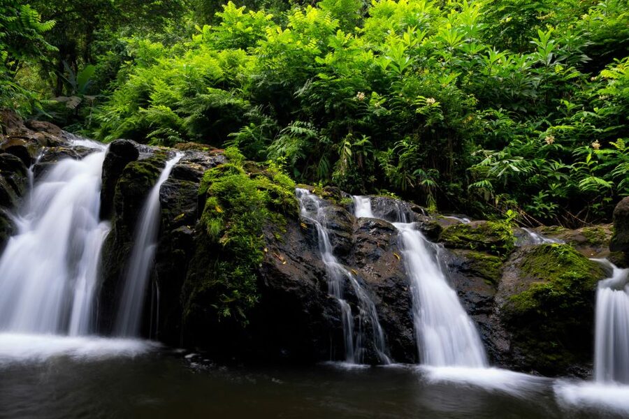 Maui: Guided Rainforest and Waterfall Walk & Swim - Weather, Safety, and Comfort